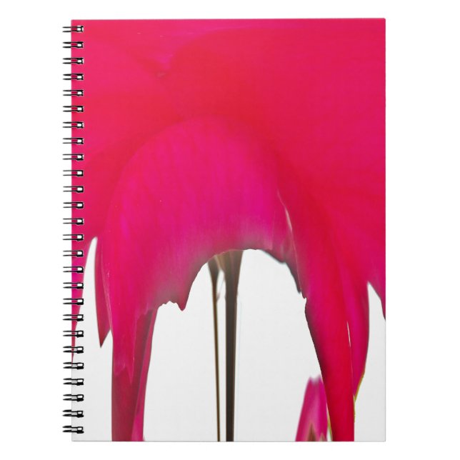 Caderno Espiral Momento Capturado: Uma Elegância Petal Rosa vermel (Frente)