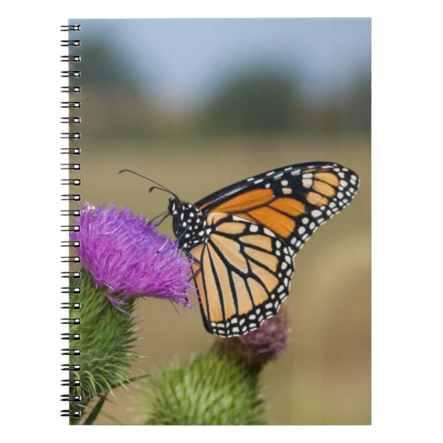 Caderno Espiral Monarca no pasto Thistle Prairie Ridge (Frente)