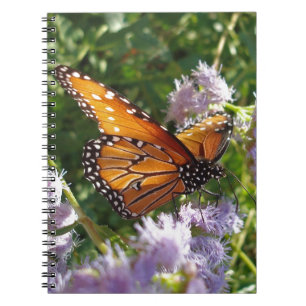 Caderno Espiral Monarch Butterfly Photo Purple Flower Nature