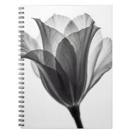 Caderno Espiral Monochrome botanical fine art photograph