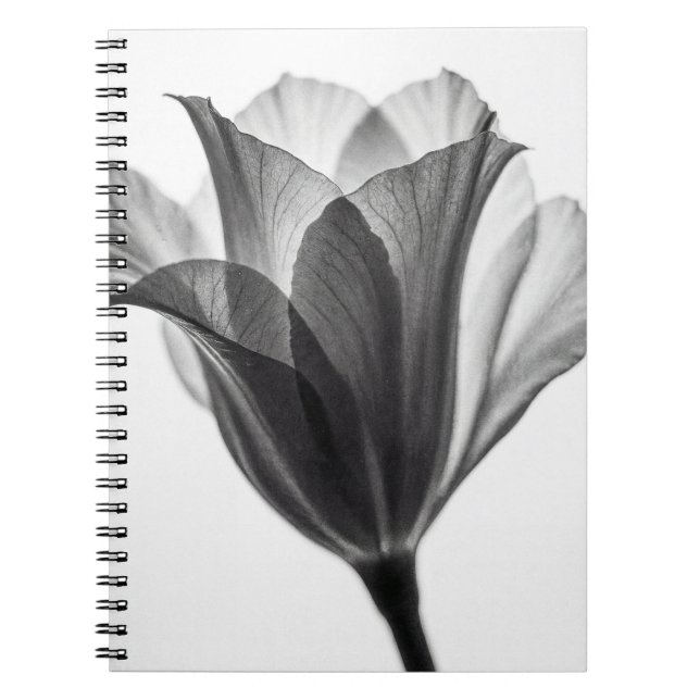 Caderno Espiral Monochrome botanical fine art photograph (Frente)