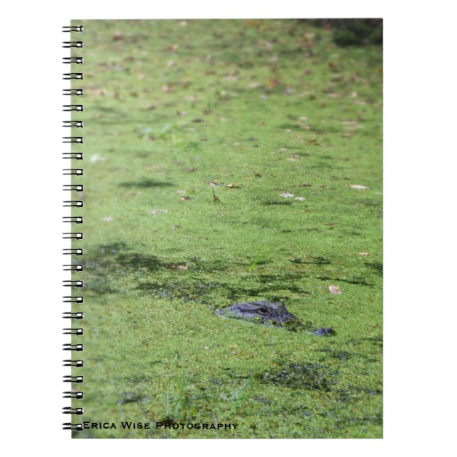 Caderno Espiral Monstro do pântano (Frente)