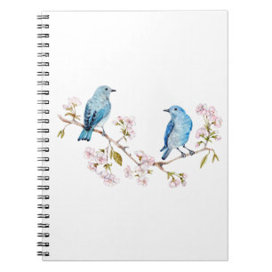 Caderno Espiral Montanha Bluebird na Seção Sakura