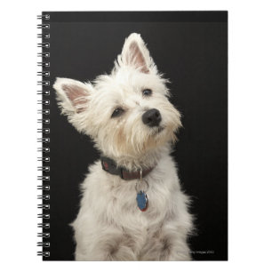 Caderno Espiral Montanhas ocidentais Terrier de Westie