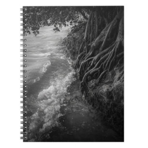 Caderno Espiral Moody Mangrove Roots Black and White Photo
