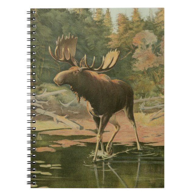 Caderno Espiral Moose Caminhando na Água (Frente)