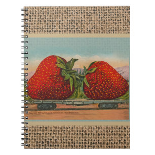 Caderno Espiral Morangos Gigante Antigo Fruta Diversão