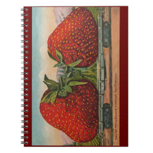 Caderno Espiral Morangos Gigante Antigo Fruta Diversão