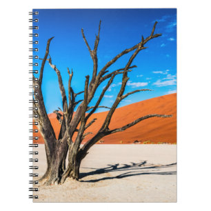Caderno Espiral Morto em Deadvlei, Namíbia
