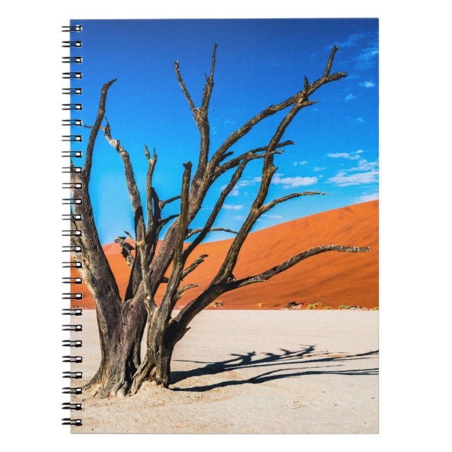 Caderno Espiral Morto em Deadvlei, Namíbia (Frente)