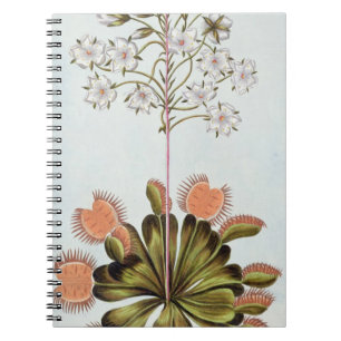 Caderno Espiral Mosca-armadilha de Venus, placa 84, 'da coleção