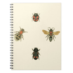Caderno Espiral Moscas e besouros pelo Vision Studio