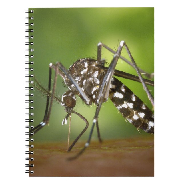 Caderno Espiral mosquito Tigre (Frente)