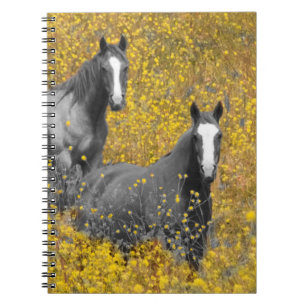 Caderno Espiral Mostarda e cavalos