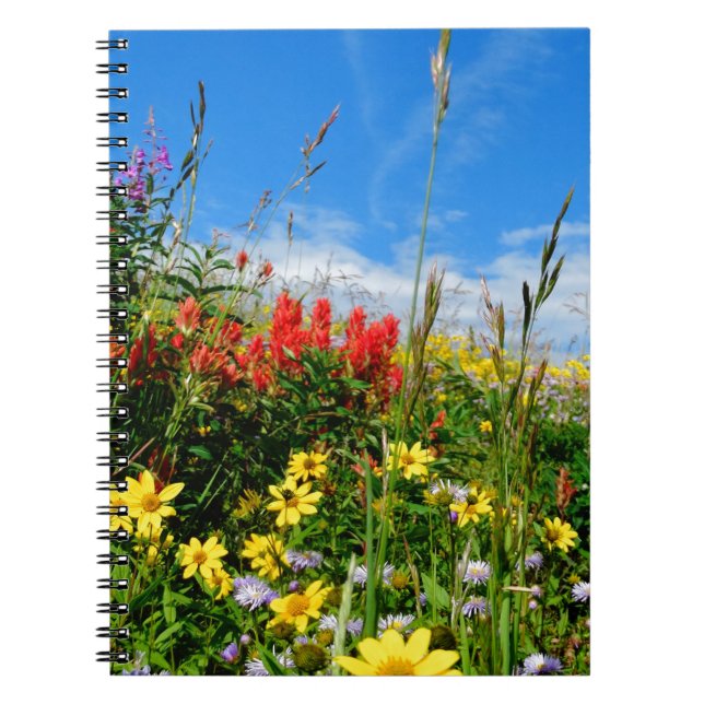 Caderno Espiral Mt. Wildflower (Frente)