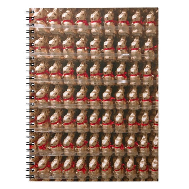 Caderno Espiral Muito figurino de coelho (Frente)