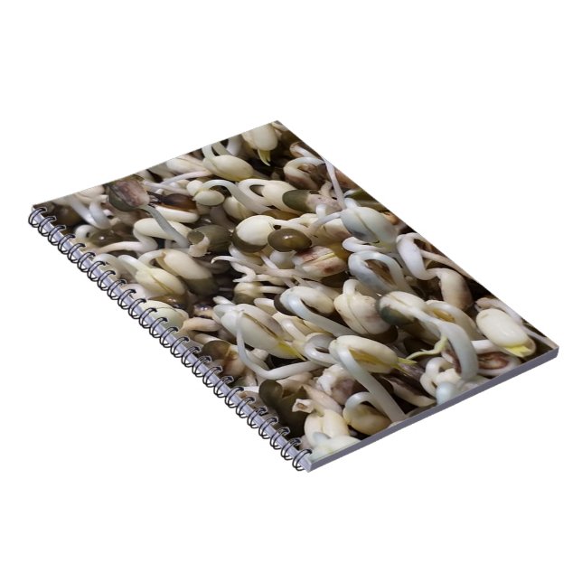 Caderno Espiral Mung The Beans (Lado Direito)
