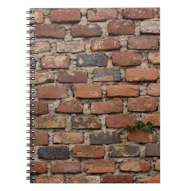 Caderno Espiral Muro de tijolo (Frente)