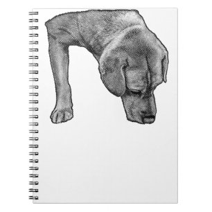 Caderno Espiral Musa Dotada Para Notas