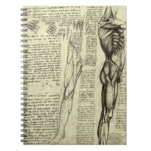 Caderno Espiral Músculos masculinos da Anatomia Humana de Leonardo