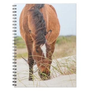 Caderno Espiral Mustangas selvagens ou Cavalos Banqueiros