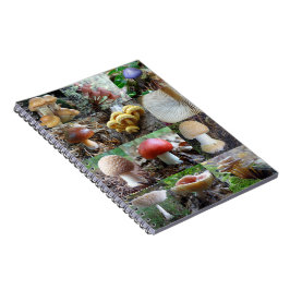 Caderno Espiral MycoJournal