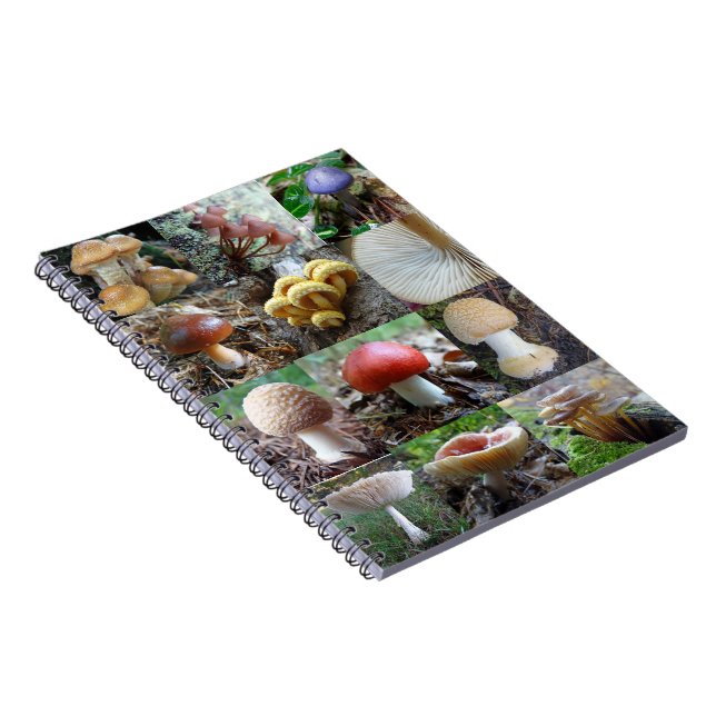 Caderno Espiral MycoJournal (Lado Direito)