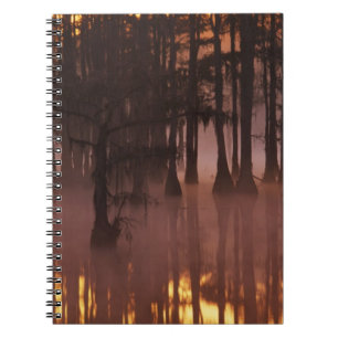 Caderno Espiral N.A., EUA, Geórgia, George Smith State Park.
