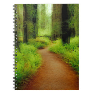 Caderno Espiral NA, EUA, Califórnia, Jedediah Smith Redwoods