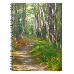 Caderno Espiral NA, EUA, Maine. Trilha Jessup no Parque Nacional