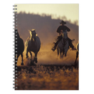Caderno Espiral NA, EUA, Oregon, Seneca, Ponderosa Ranch, Cowboy 2