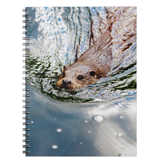 CADERNO ESPIRAL NADAÇÃO DE REFEIÇÕES (Frente)