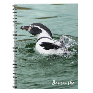 Caderno Espiral Nadando Humboldt Pguin Spiral