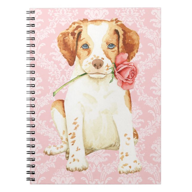Caderno Espiral Namorados Rosa Brittany (Frente)