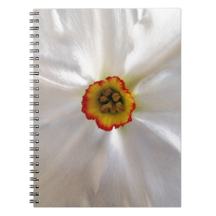 Caderno Espiral narciso branco pérola