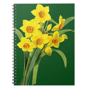 Caderno Espiral Narciso (N Tazetta)