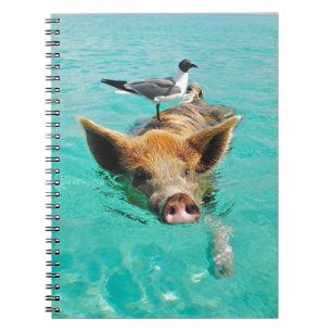 Caderno Espiral Natação bonito do porco na água