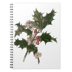 Caderno Espiral Natais vintages, Green Holly Plant com Berries