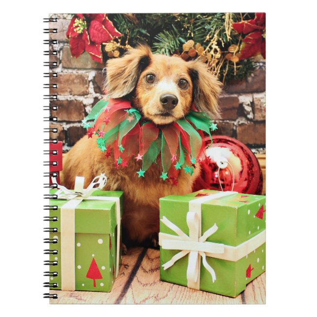Caderno Espiral Natal - Dachsund - Heidi (Frente)