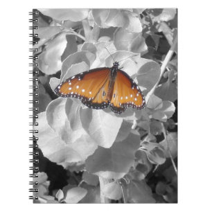 Caderno Espiral Nature Orange Monarch Butterfly Photo Black White
