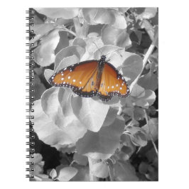 Caderno Espiral Nature Orange Monaryfly Foto Black White