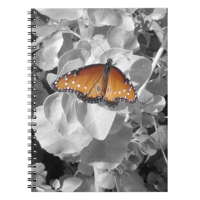 Caderno Espiral Nature Orange Monaryfly Foto Black White (Frente)