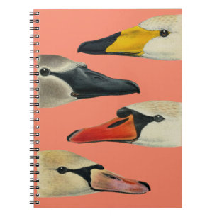 Caderno Espiral Natureza As muitas faces de um cisne