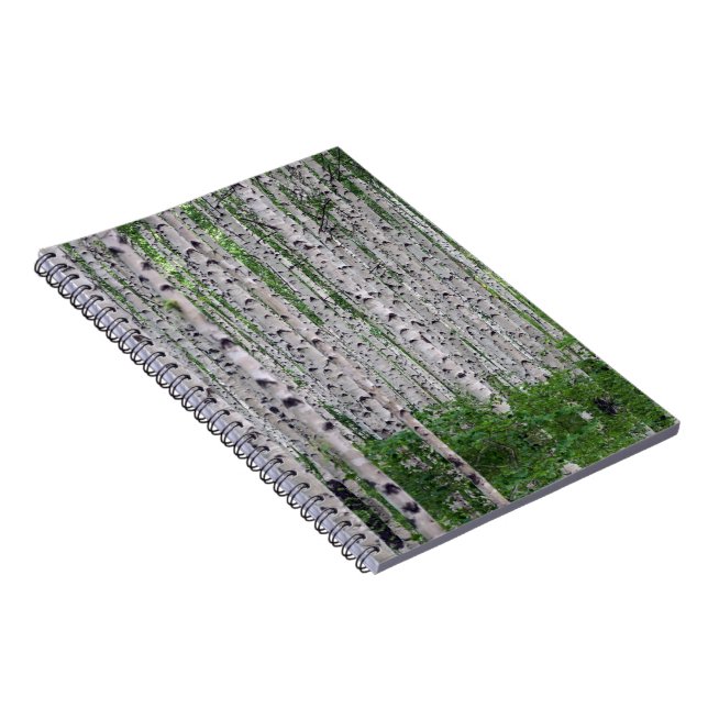 Caderno Espiral Natureza da Floresta de Birch (Lado Direito)