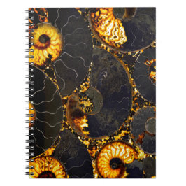 Caderno Espiral Nautilus ouro