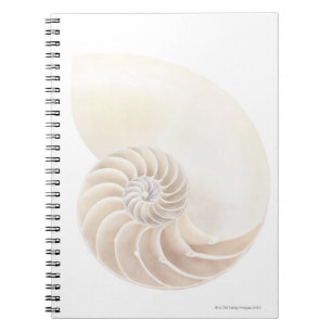 Caderno Espiral Nautilus Shell