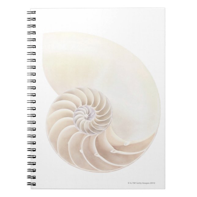 Caderno Espiral Nautilus Shell (Frente)