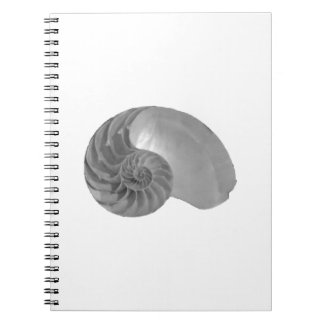 Caderno Espiral Nautilus Shell da simplicidade da complexidade