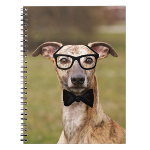Caderno Espiral Nerd com óculos e Arco