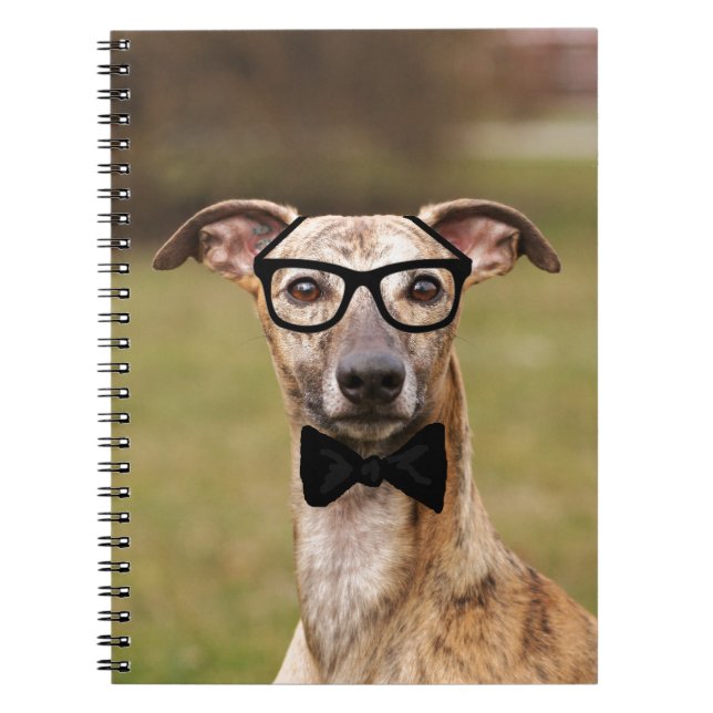 Caderno Espiral Nerd com óculos e Arco (Frente)